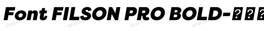 Font FILSON PRO BOLD字体转换 Font FILSON PRO BOLD字体转换